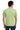 back_pistachio