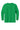 back_irish_green