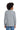 back_sport_grey