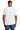 back_white