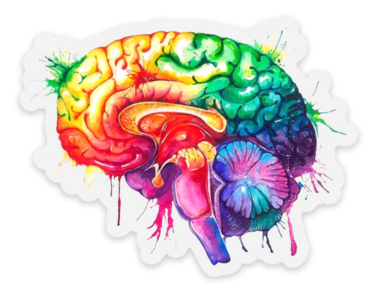 Watercolor Brain - Clear Sticker