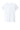 back_solid_white_blend