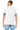 back_white