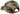 back_desert_camo