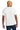 back_bright_white