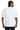 back_white