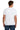 back_white