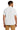 back_white