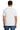 back_white