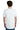 back_white