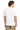 back_white