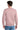 back_pale_blush