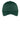 front_dark_forest_green