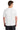back_white