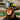 VANTAGE® II HELMET LIGHT