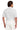 back_white