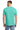 back_cool_mint
