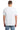 back_white