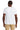 back_white