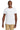 front_white