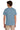 back_stone_blue