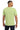 back_celadon