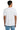 back_white