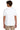 back_white