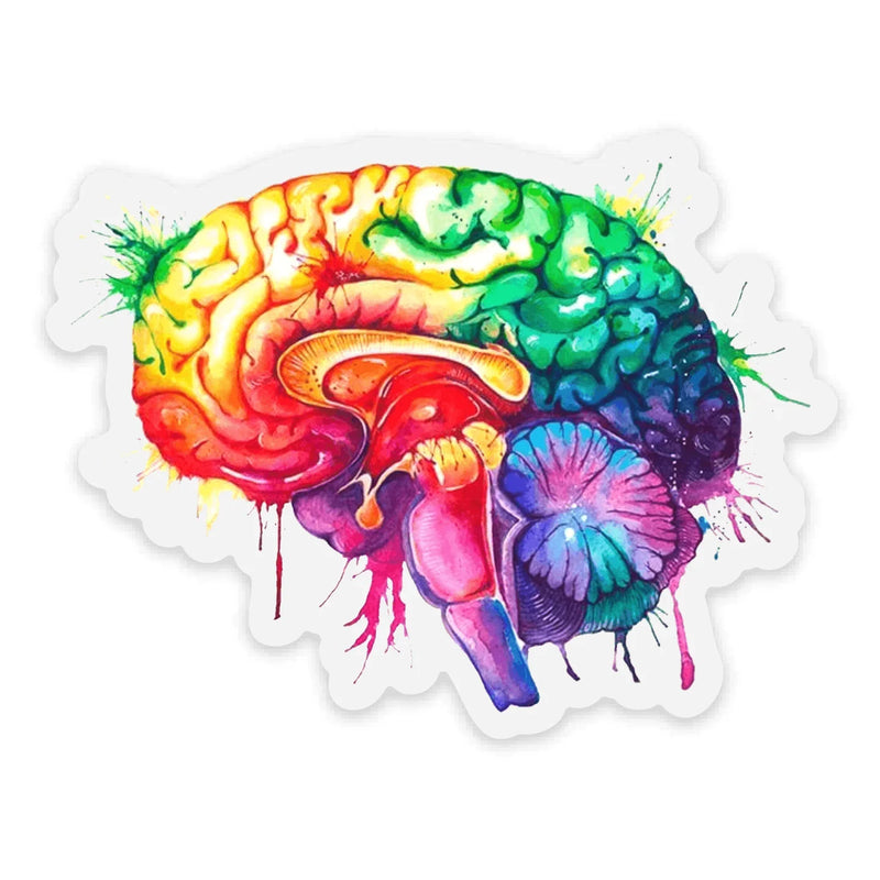 Watercolor Brain - Clear Sticker
