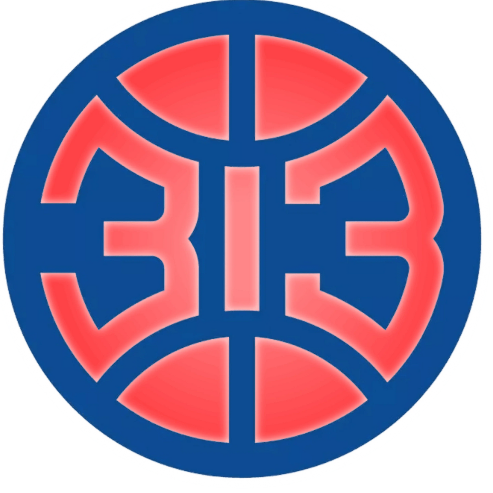 PISTONS 313