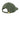 back_olive_green