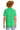 back_green_frost