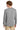 back_grey_frost