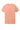 back_cactus_rose_pink