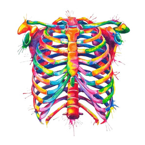 Watercolor Torso - Clear Sticker