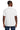 back_white