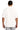 back_white