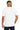 back_white