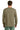 back_coyote_brown