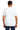 back_white