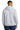 back_ash_grey