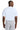 back_white
