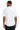 back_white