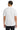 back_white