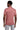 back_roan_rouge